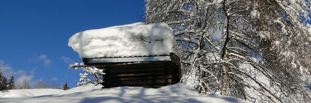 tielbild rplatte schneekonstistenz