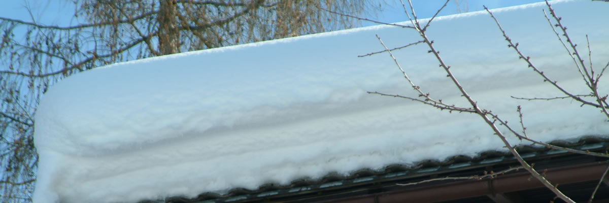 titelbild rplatte schnee